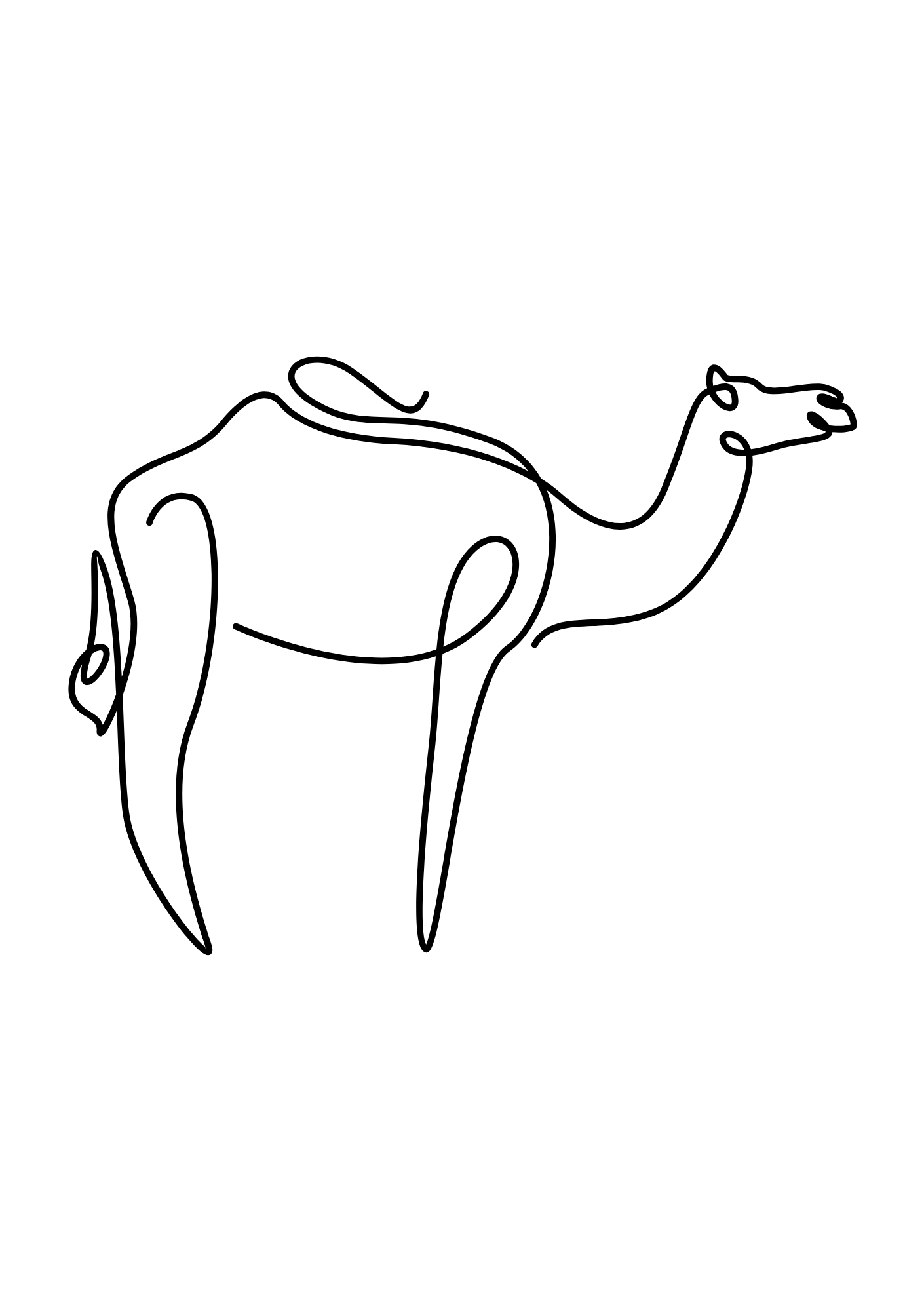 PAUSE CRÉATIVE - calm colouring book